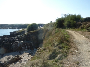 P1040815 - Copie